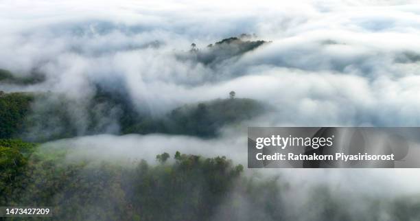 aerial drone sunrise scene of the viewpoint kunung seipat the magic of the sea mist ,the rainforest in morning with a lot of fog and mist,, betong district, yala province,thailand - yala stock pictures, royalty-free photos & images