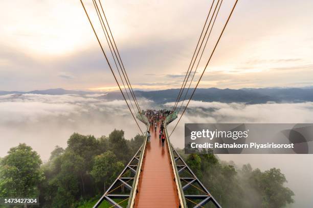 magnificent view from the top of tower sky walk at aiyerweng skywalk with fog, betong city, bang lang national park, tropical rainforest southern thailand. - elevated walkway stock pictures, royalty-free photos & images