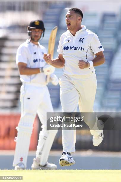 Scott Boland of Victoria celebrates the wicket of Josh Philippe of Western Australia during Day 1 of the Sheffield Shield match between Western...