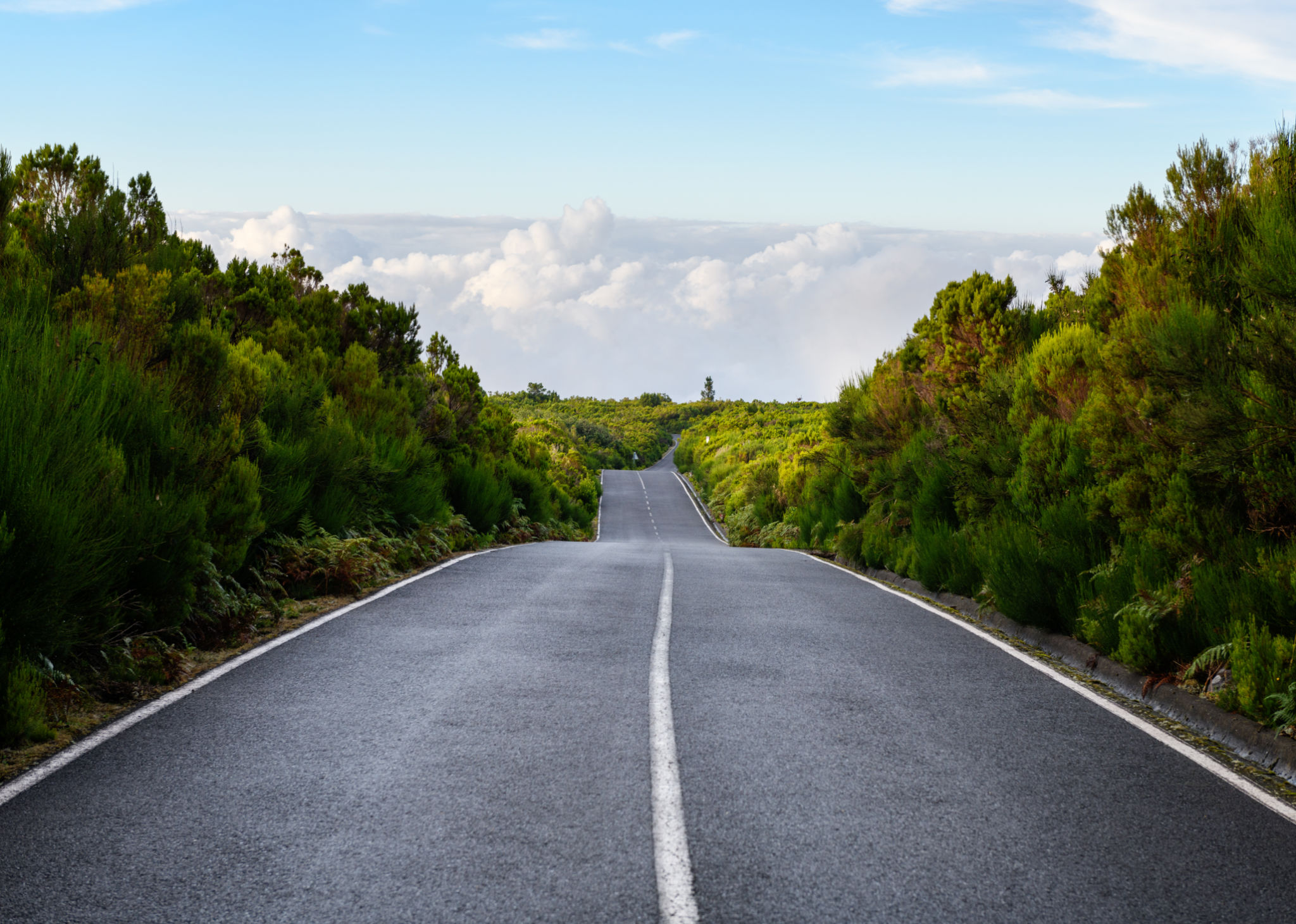 madeira roads
