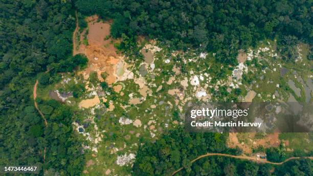 Mining In Rainforests 1,513 Deforestation Mining Stock Photos, High-Res Pictures, and Images ...