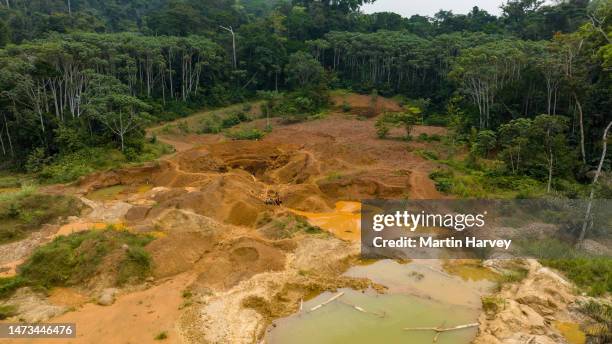 Mining In Rainforests 311 Deforestation Mining Stock Photos, High-Res Pictures, and Images ...