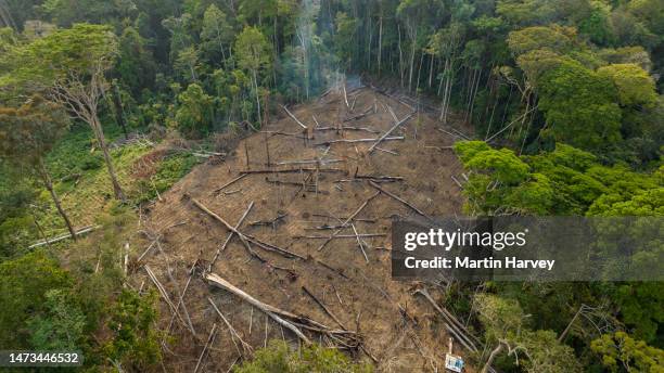 aerial view. slash and burn subsistence farming to plant crops in a tropical rainforest. climate change.deforestation - slash and burn agriculture stock pictures, royalty-free photos & images