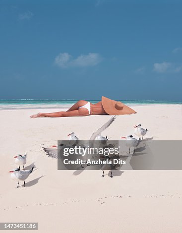 Girl on the beach with birds