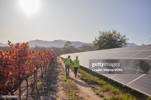 bauernhof-sonnenkollektoren, elektriker-team zu fuß und grünes energienetz im freien mit blauem himmel. landwirtschaft, nachhaltige arbeiter zurück und nachhaltigkeit teamarbeit von ingenieurtechnikern - development stock-fotos und bilder