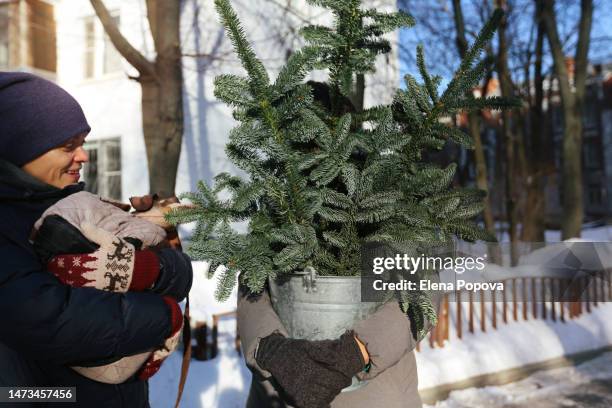 mid adult female lgbtqia+ couple walking outdoors with small christmas tree and disabled dachshund dog sitting in a pet carrier - dachshund christmas stock-fotos und bilder