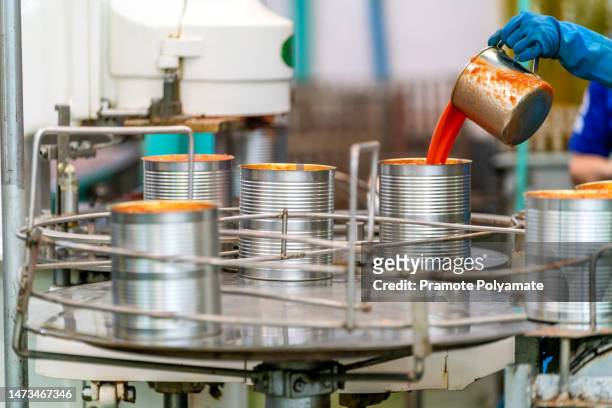 industrial production of tomatoes and tomato paste. canned tomatoes on a conveyor belt in an industrial plant. food industry. - we can do it stock pictures, royalty-free photos & images
