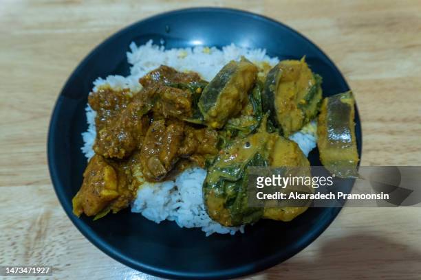 southern curry rice - south indian food stock pictures, royalty-free photos & images