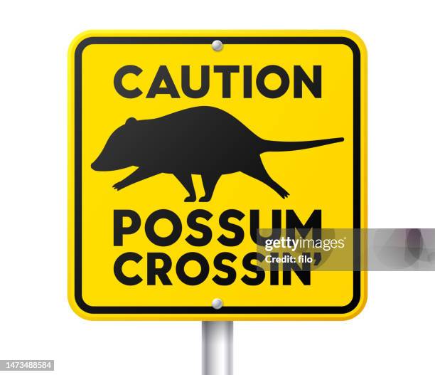 opossum crossing tierwarnschild - possum stock-grafiken, -clipart, -cartoons und -symbole