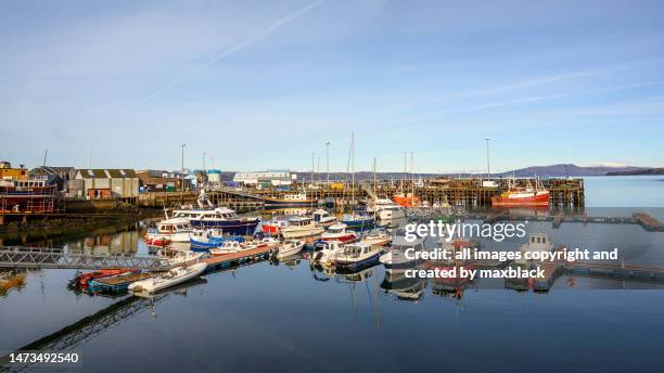 boats in mallaig harbour, scotland - mallaig stock pictures, royalty-free photos & images