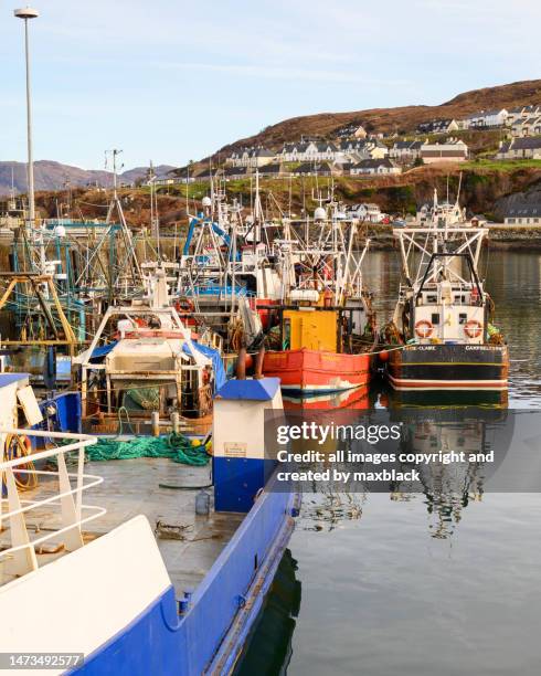 tied up trawlers at mallaig, scoland. - mallaig harbour stock pictures, royalty-free photos & images