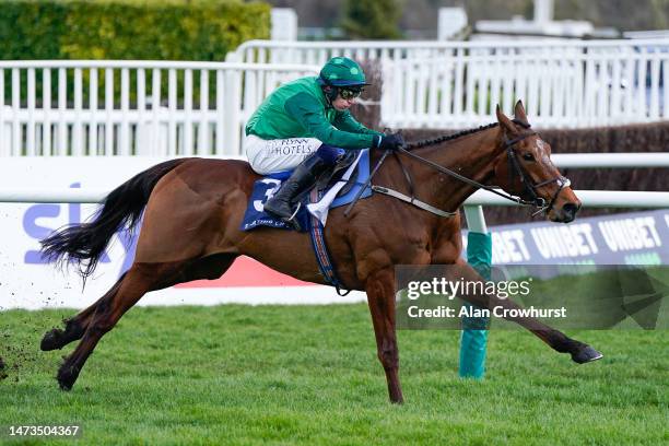 Paul Townend riding El Fabiolo clear the last to win The Sporting Life Arkle Challenge Trophy Novices' Chase during day one of the Cheltenham...