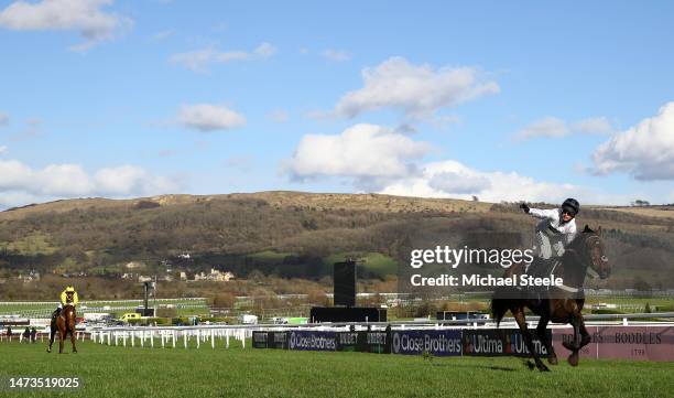 Nico de Boinville celebrates on board Constitution Hill after winning the the Unibet Champion Hurdle Challenge Trophy ahead of State Man ridden by...