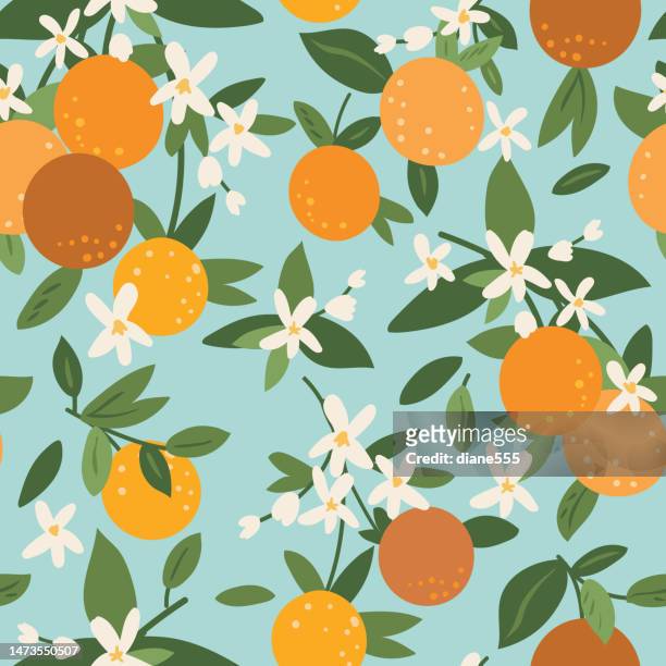 ilustraciones, imágenes clip art, dibujos animados e iconos de stock de patrón sin costuras de naranjas en colrs planos - orange blossom