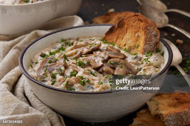 creamy chicken and wild mushroom soup - white mushroom stock pictures, royalty-free photos & images