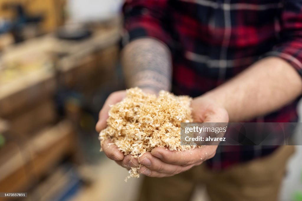 Close-up of a carpenter holding sawdust in his hands at the workshop