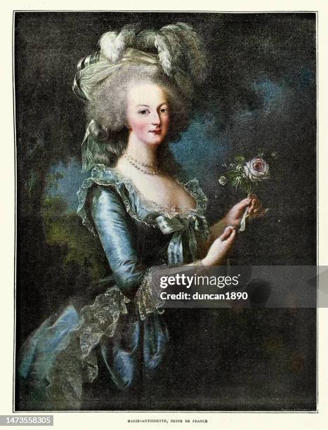 ilustrações de stock, clip art, desenhos animados e ícones de portrait of marie-antoinette queen of france, after élisabeth vigée-lebrun - século xviii