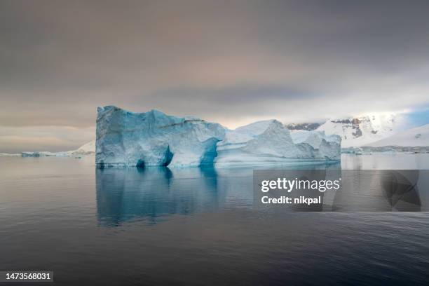 wonderful and atmospheric landscape at danco island with icebergs floating in antarctica - south pole stock pictures, royalty-free photos & images