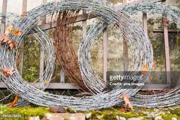 close up of some barbed wire's lines. a few barbed wire's lines in a close view. - guards division stock pictures, royalty-free photos & images
