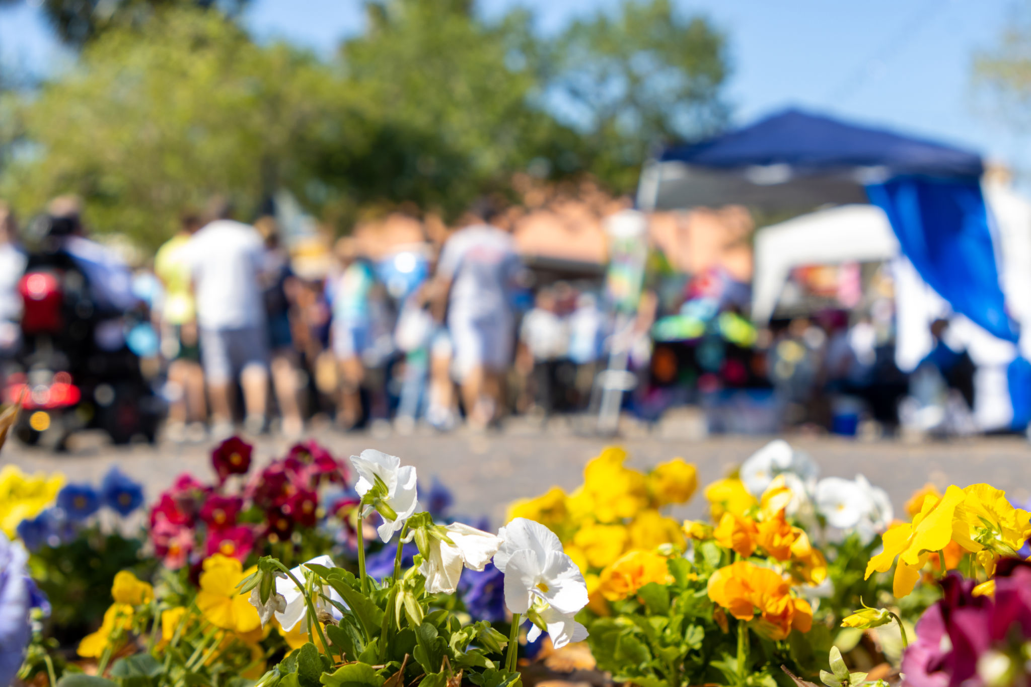 flower festival