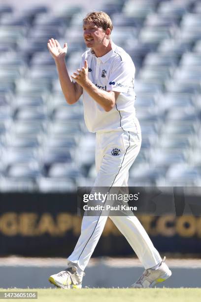 David Moody of Western Australia celebrates the wicket of Marcus Harris of Victoria during the Sheffield Shield match between Western Australia and...