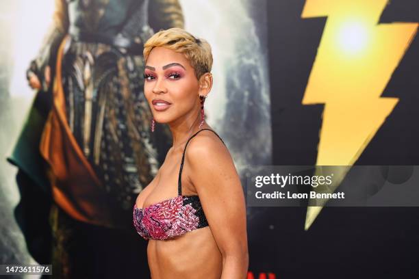 Meagan Good attends the premiere of Warner Bros.' "Shazam 2" at Regency Village Theatre on March 14, 2023 in Los Angeles, California.