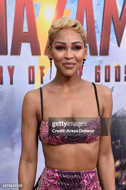 Meagan Good attends the Los Angeles premiere of Warner Bros.' "Shazam! Fury Of The Gods" at Regency Village Theatre on March 14, 2023 in Los Angeles,...