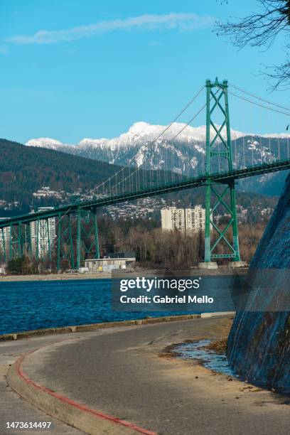 pov of lions gate bridge in vancouver - north vancouver stock pictures, royalty-free photos & images