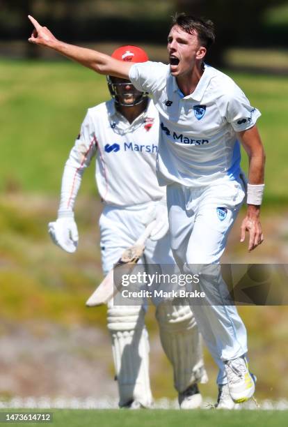 Ryan Hadley of the Blues celebrates the wicket of Henry Hunt of the Redbacks during the Sheffield Shield match between South Australia and New South...