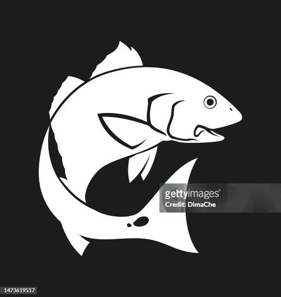 ilustraciones, imágenes clip art, dibujos animados e iconos de stock de red drum, redfish, spottail bass - recorta la silueta sobre fondo oscuro - redfish
