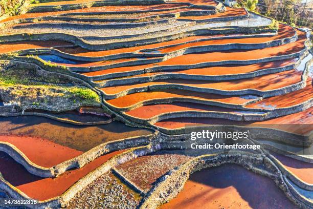 aerial view of yuanyang terraced fields,yunnan,china. - yuanyang stock pictures, royalty-free photos & images