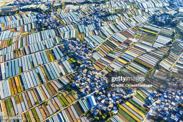 aerial  view of greenhouse - yuanyang stock pictures, royalty-free photos & images