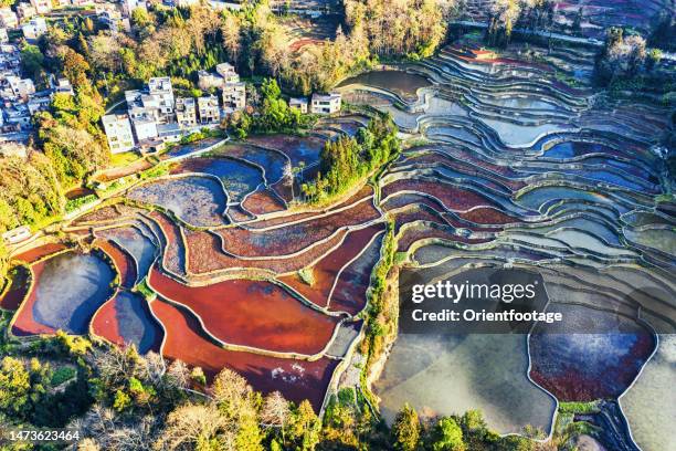 luftaufnahme der yuanyang terrassenfelder, yunnan, china. - paddy fields yunnan stock-fotos und bilder