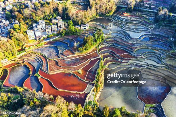 aerial view of yuanyang terraced fields,yunnan,china. - yunnan province stock pictures, royalty-free photos & images