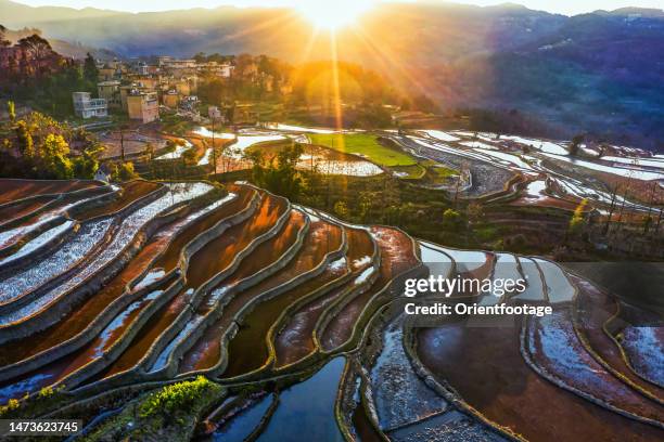 aerial view of yuanyang terraced fields,yunnan,china. - yuanyang stock pictures, royalty-free photos & images