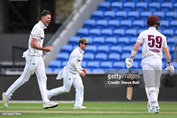 Beau Webster of the Tigers celebrates the wicket of Jimmy Peirson of the Bulls during the Sheffield Shield match between Tasmania and Queensland at...