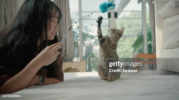 young asian woman playing with cat in the bed room. - string stock pictures, royalty-free photos & images