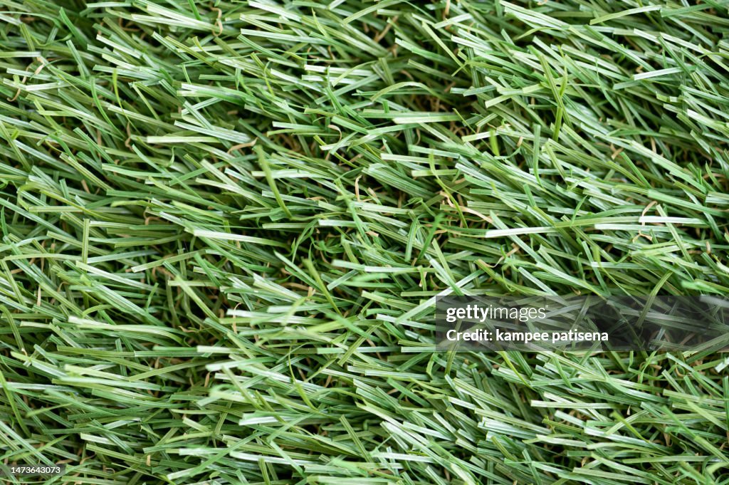 Green Grass Background, Artificial Grass On playground