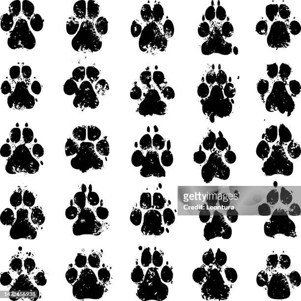 dog prints - tracks vector stock illustrations