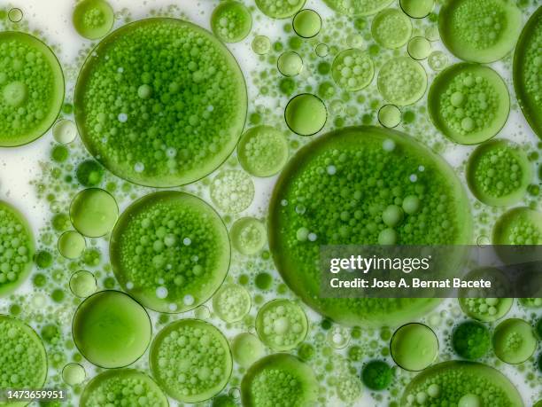 967 Dissolving Pattern Stock Photos, High-Res Pictures, and Images ...