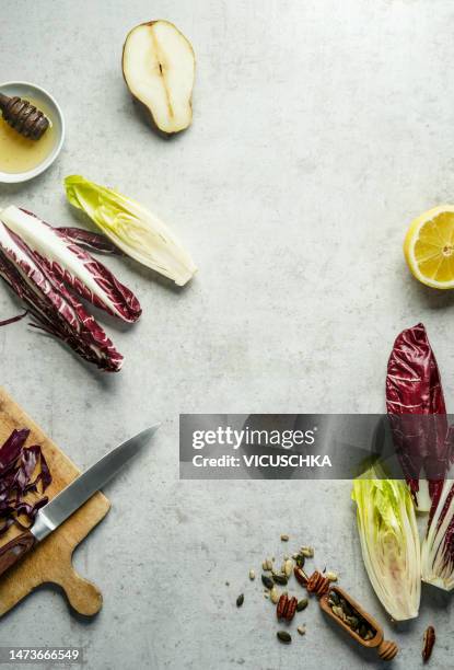 food background with chicory salad ingredients on gray table - chicorée stock-fotos und bilder