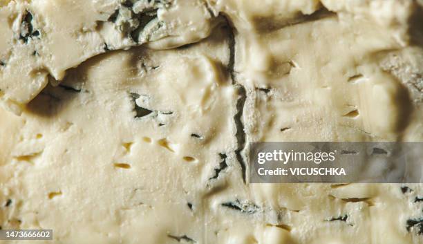 gorgonzola cheese textur with blue mold - gorgonzola photos et images de collection