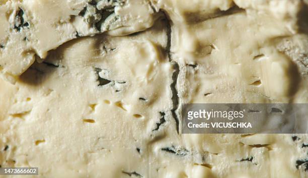 gorgonzola cheese textur with blue mold - gorgonzola stockfoto's en -beelden