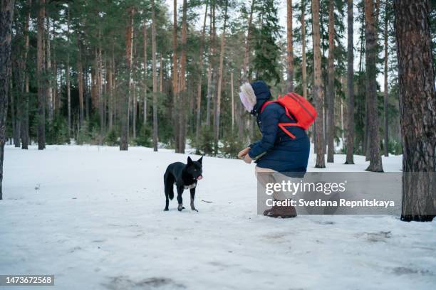 woman in warm clothes with a red backpack plays with a dog in a snowy forest - kapstaden stockfoto's en -beelden