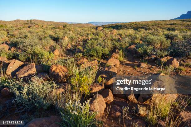 scenic view on potlekkertjie loop in karoo national park, beaufort west, western cape, south africa - the karoo stockfoto's en -beelden