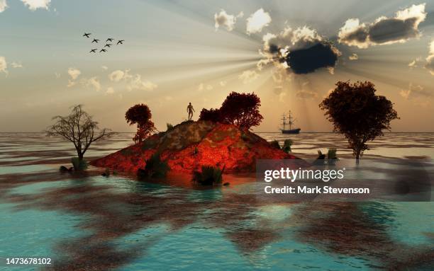 36 Stranded Island High Res Illustrations - Getty Images