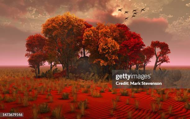 a multi colored copse of trees - fantasy landscape stock illustrations
