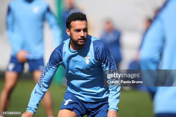 Pedro of SS Lazio looks on during the training session at Formello sport centre on March 15, 2023 in Rome, Italy.