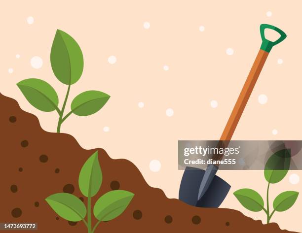 ilustrações de stock, clip art, desenhos animados e ícones de digging in the garden. a shovel and plants - pá