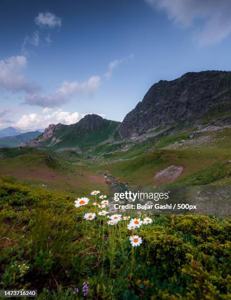 kosovo alps,kosovo - kosovo bildbanksfoton och bilder